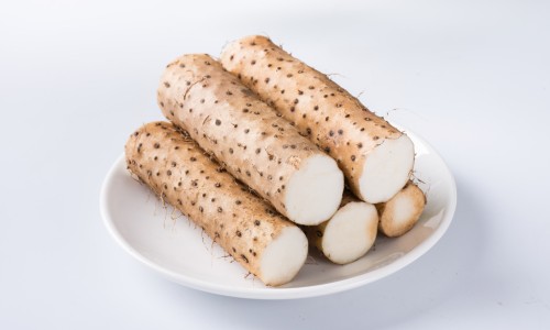 卓比安滴眼液-卓医师眼药水、卓明滴眼液说明书图片 -卓明滴眼液说明书网